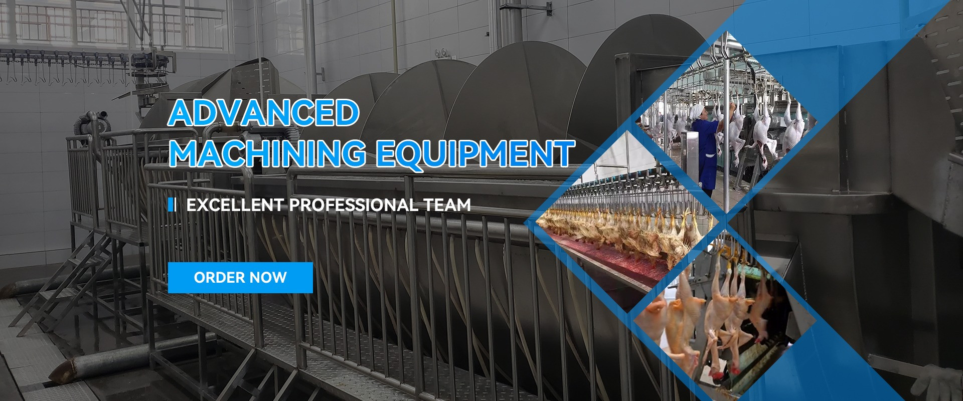quality Chicken Slaughtering Machine factory