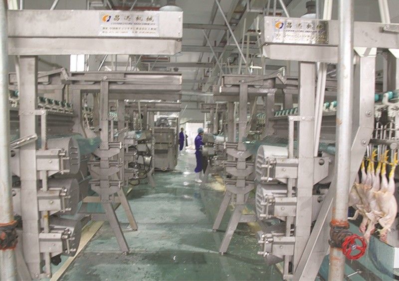 Qualität Installationsingenieure für den Dienst im Ausland in der rostfreien Geflügelverarbeitungslinie Fabrik