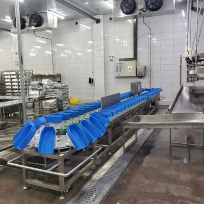 Plastic Tray Chicken Duck Poultry Belt Weight Sorting Machine For Slaughtering House