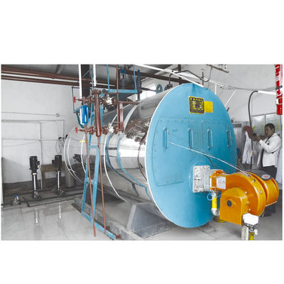 Qualidade Caldeira a vapor a diesel de matadouro para linha de abate de frango 220V / 380V personalizada Fábrica