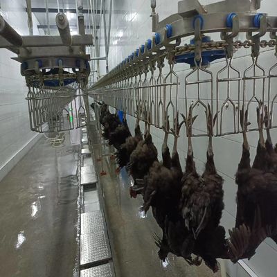 Stainless Steel Chicken Slaughtering Line Flexible Adjustment Poultry Processing Machines