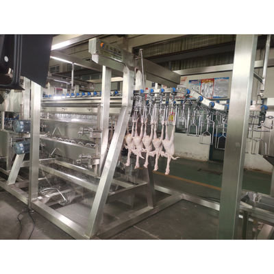 Chất lượng Máy giết gà tự động 1000bph Thiết bị tẩy lông gia cầm nhà máy