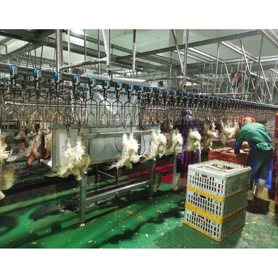 品質 鶏肉加工装置の製造 380V 熱する機能 工場