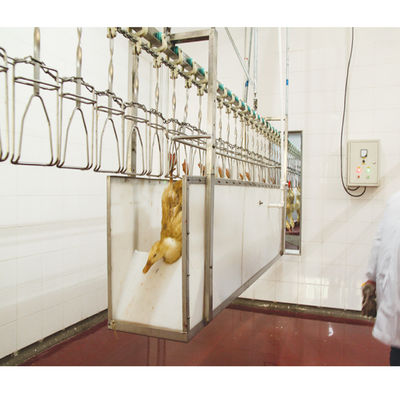 stainless steel Poultry Slaughterhouse Equipment automatic For Meat Processing