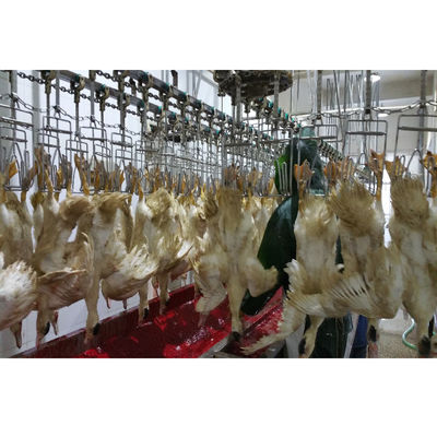 Chất lượng Đường giết thịt tùy chỉnh cho máy giết thịt gà 300-1000 Bph Công suất nhà máy