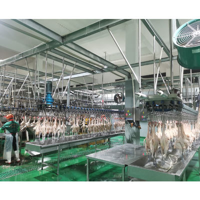 Qualité Machine de découpage automatique pour usine de transformation de viande de poulet Usine