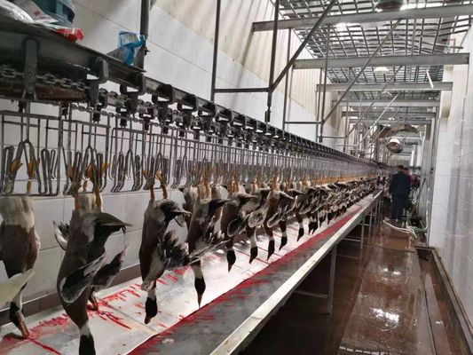 品質 多機能チキン・ターキーの屠殺機 鶏肉の屠殺ライン 工場