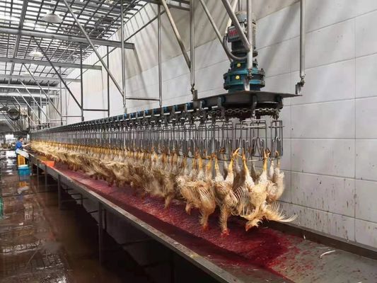 品質 チキン・グース・ターキー・アヒル 屠殺機 1000BPH 鶏肉加工機 工場