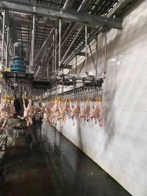 品質 チキン・グース・ターキー・アヒル 屠殺機 1000BPH 鶏肉加工機 工場