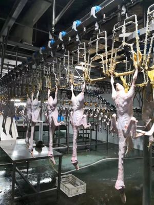 品質 チキン・グース・ターキー・アヒル 屠殺機 1000BPH 鶏肉加工機 工場