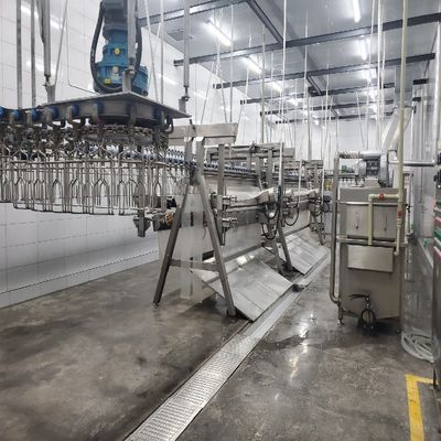 Kalite Tavuk Kasap Makinesi Yerel veya Çevrimiçi Montajlı ve Paslanmaz Çelik 304 fabrika