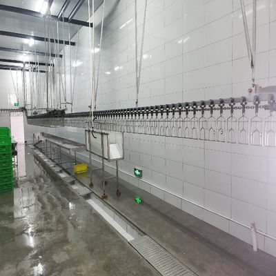 Stainless Steel Chicken Slaughtering Line Machine Solution for Poultry Processing