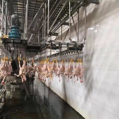 Kualitas Baja tahan karat 304 Turki mesin pembantaian unggas mesin pabrik pembantaian pabrik
