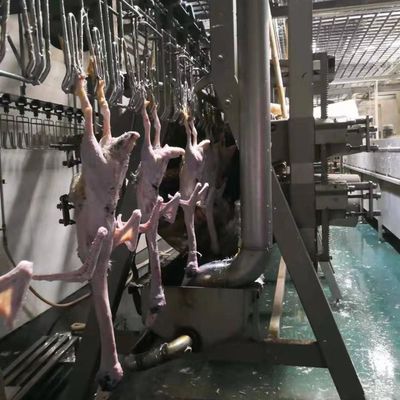 Qualität Edelstahl 304 Türkei Schlachtmaschine Geflügelschlachthof Fabrik