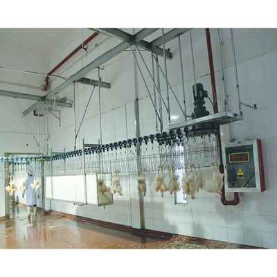Chất lượng 300bph đến 1000bph Chicken Plucker Machine Thiết bị giết chóc cho Malaysia nhà máy