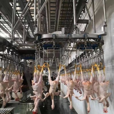 品質 220V / 380V自動屠殺機 鶏肉の屠殺加工ライン 工場