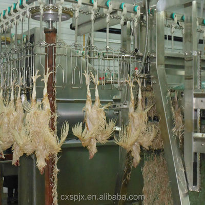 Qualität 380V/220V Spannungsmaschine zur Verarbeitung von Geflügel für das Pflücken und Halalschlachten von Hühnern Fabrik