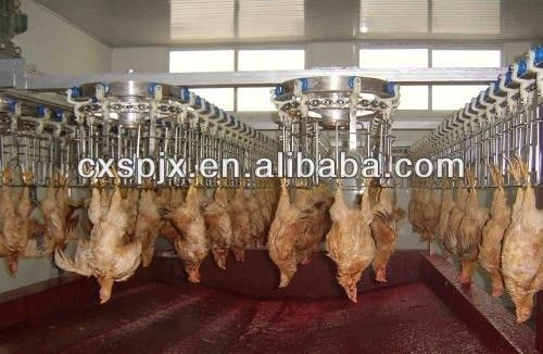品質 不同生産能力のステンレスチールチキン屠殺生産ライン 工場
