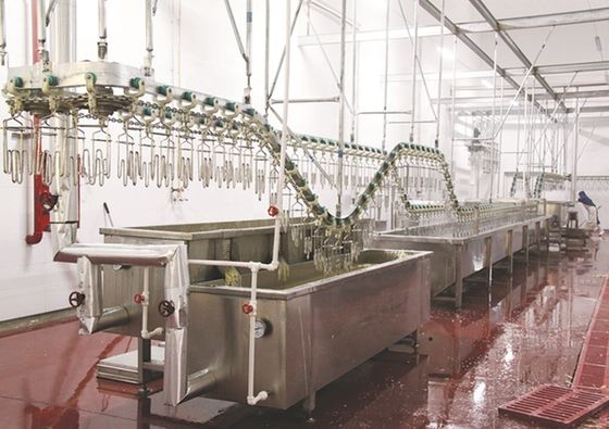Qualidade Máquina de Abate de Gansos de Pato de Frango e Pato de Pato de Turquia 2000BPH para Aves de Aves Fábrica