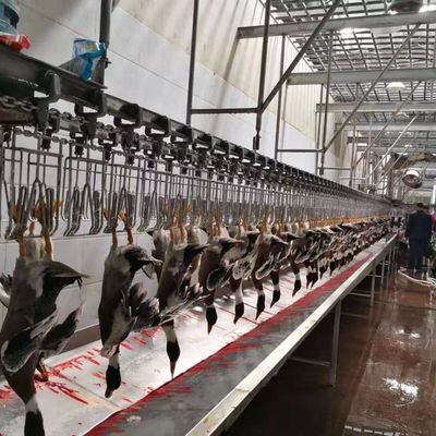 CE Certificated Poultry Slaughtering Equipment Duck Poultry Slaughter Line 600KG