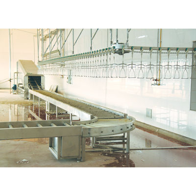 500 Bph Poultry Slaughtering Equipment For Fast And Hygienic Processing