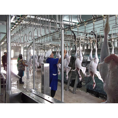 Qualidade Linha de transporte de sangramento de aves de capoeira 200BPH - 10000BPH Capacidade para explorações agrícolas Fábrica