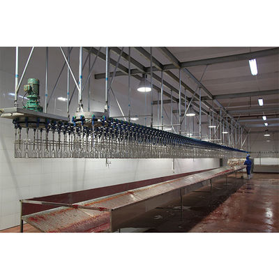 Customized Capacity Chicken Bleeding Line With Stainless Steel Slaughter Machine