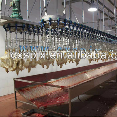 Qualidade Simplifique seu processamento de frango com linha de abate controlada por PLC e materiais de aço inoxidável 304 Fábrica