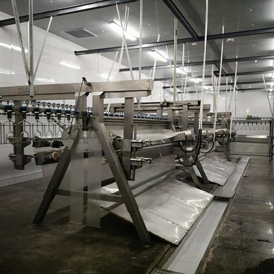 Customized Livestock Slaughtering System For High Capacity Of 500-1000 Birds / Hour Customization Features
