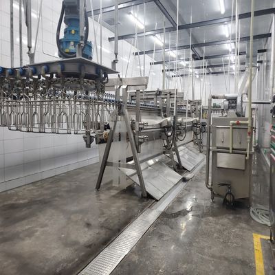 คุณภาพ 6000bph Poultry Slaughter Line โรงฆ่าสัตว์เพื่อเพิ่มผลผลิต โรงงาน