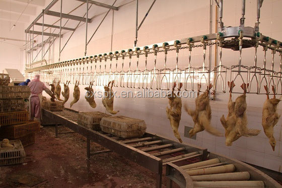 Chicken Duck Goose Processing Line Slaughter Machine 304 Stainless Steel 220V
