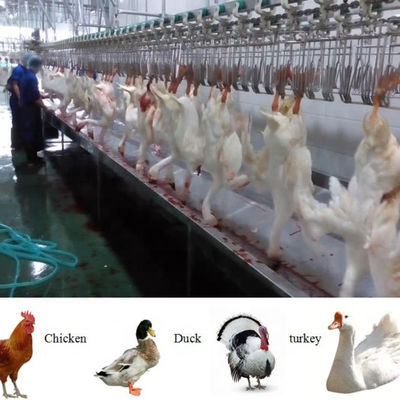 Halal Complete Full Function Poultry Chicken Slaughtering Machine Line