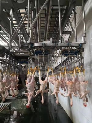 Durable Chicken Slaughtering Line Automatic Slaughtering Machine TUV Approved