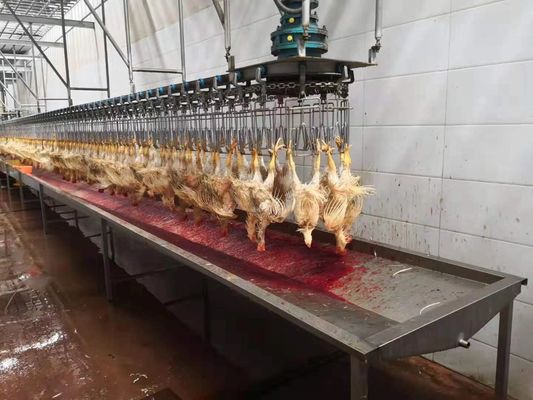 Качество 1000 цыплят в час (БФ) Полная мини-линия по переработке птицы Убойный завод Фабрика