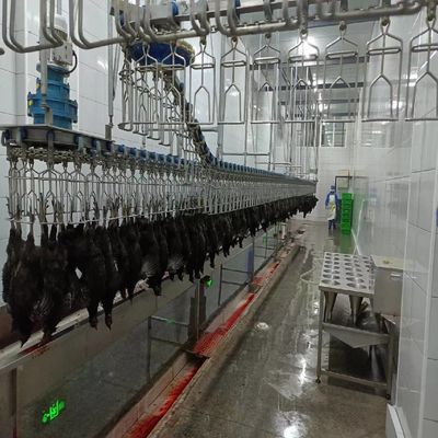 Quality Customized Automatic Slaughtering Machine factory