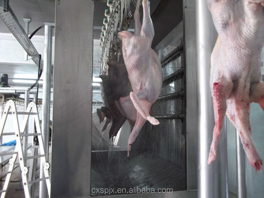 Qualidade Máquina de abate de patos homologada pelo CE para linha de processamento de carniceiros de aves de capoeira Fábrica