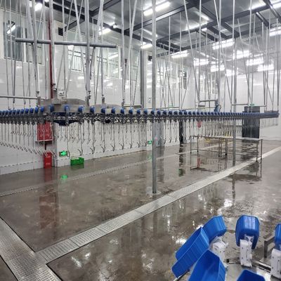 500PCS Automatic Poultry Slaughterhouse Equipment Stainless Steel Chicken Farming Line