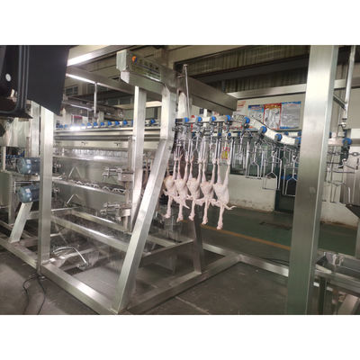 Chất lượng 200BPH 300BPH 500BPH Tự động giết cắt ngỗng vịt gà giết thịt máy chế biến dòng hệ thống máy nhà máy