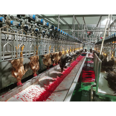 China Stainless steel 304 poultry chicken slaughter machine with capacity 0f 2000BPH