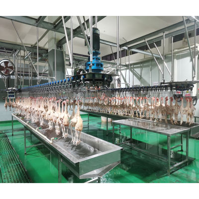 Qualité Ingénieurs pour l'entretien des machines de la ligne d'abattage de poulets à l'étranger pour l'abattage et le pillage des volailles Usine