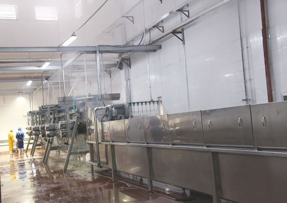 Electrical Stunning Chicken Slaughtering Machine For Farms Suit For Chicken Duck Goose Bird