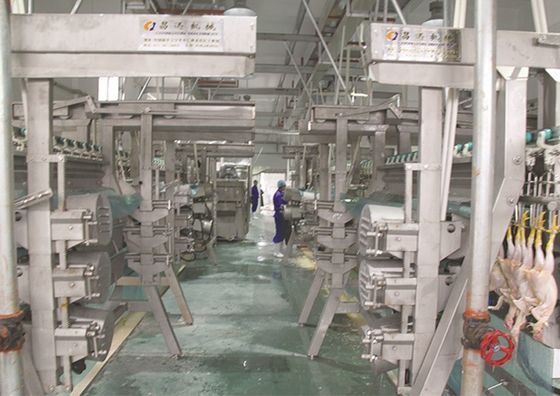 Qualité Ingénieurs d'installation pour le service à l'étranger dans la ligne de transformation de volailles en acier inoxydable Usine