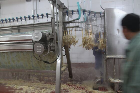 Qualidade Máquina de cortar frango Pequena Aves Abatoir Aves de capoeira (pollos) Processamento de carne Equipamento de processamento de frango Fábrica