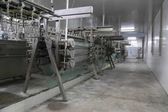 Qualità Linea di macellazione e spiumatura polli Piccola linea di macellazione polli Macchina per la macellazione di polli Fabbrica
