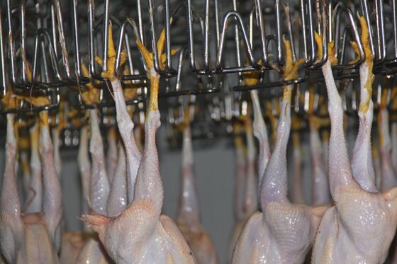 Qualité Équipement d'abattage de poulets halal à haute efficacité, ligne de transformation de volailles clé en main pour 1000 oiseaux par heure Usine