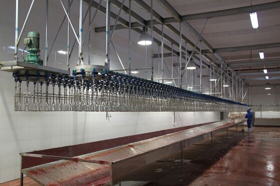 Qualité Équipement d'abattage de poulets halal à haute efficacité, ligne de transformation de volailles clé en main pour 1000 oiseaux par heure Usine