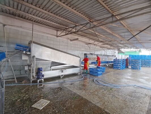 Automatic Stainless Steel Cleaning Chicken Cage Washer Poultry Crate Chicken Cage Washing Machine Motor Bearing Engine