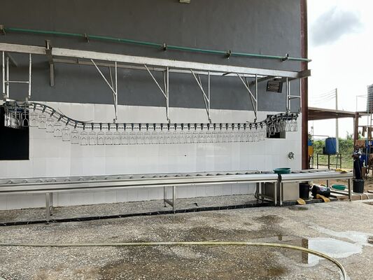 Halal Certified High Efficiency Turnkey Poultry Processing Line for 1000 Birds Per Hour